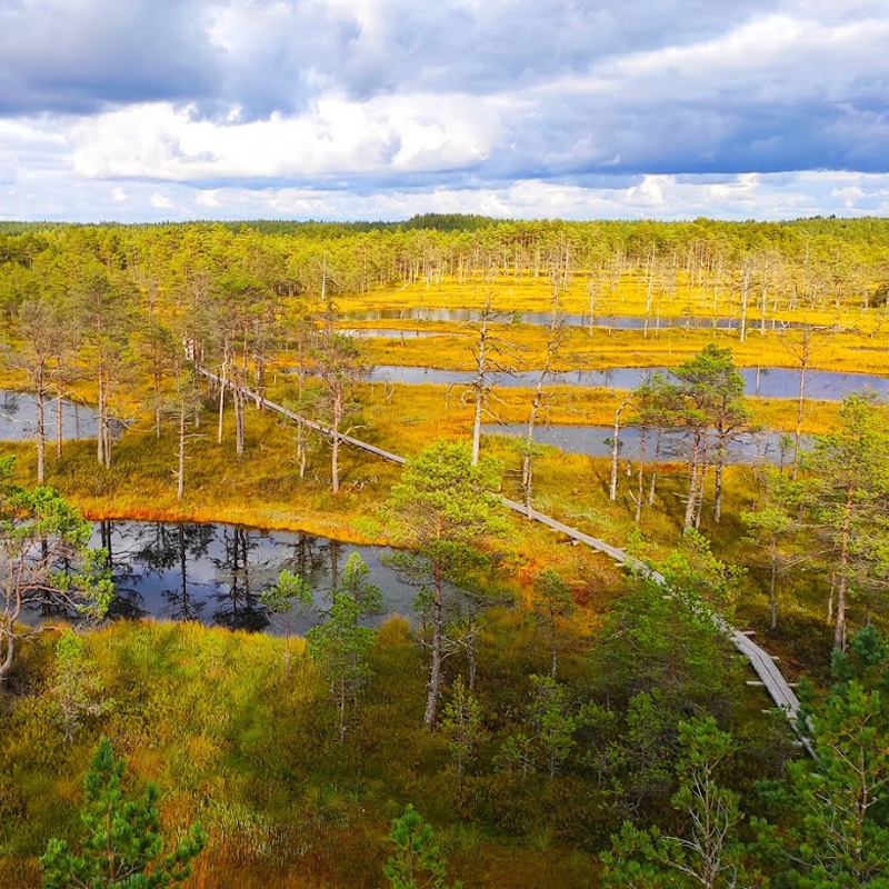 Estonie - Lahemaa National Park