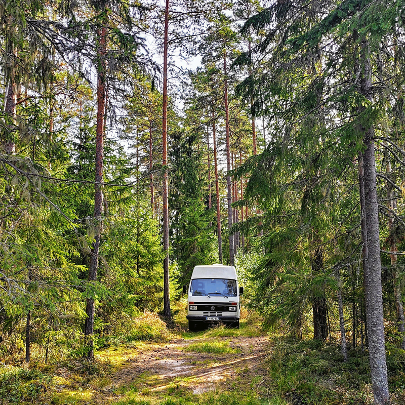 Finlande - Forêt Sammallahdenmaki